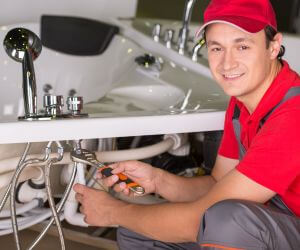 About Plumbers Pros Terril, IA